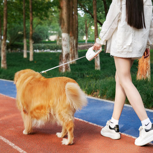 Guinzaglio Retrattile Automatico in Plastica Geometrica con Corda da 5M per Cani e Gatti di Taglia Media/Grande - Product Image 2