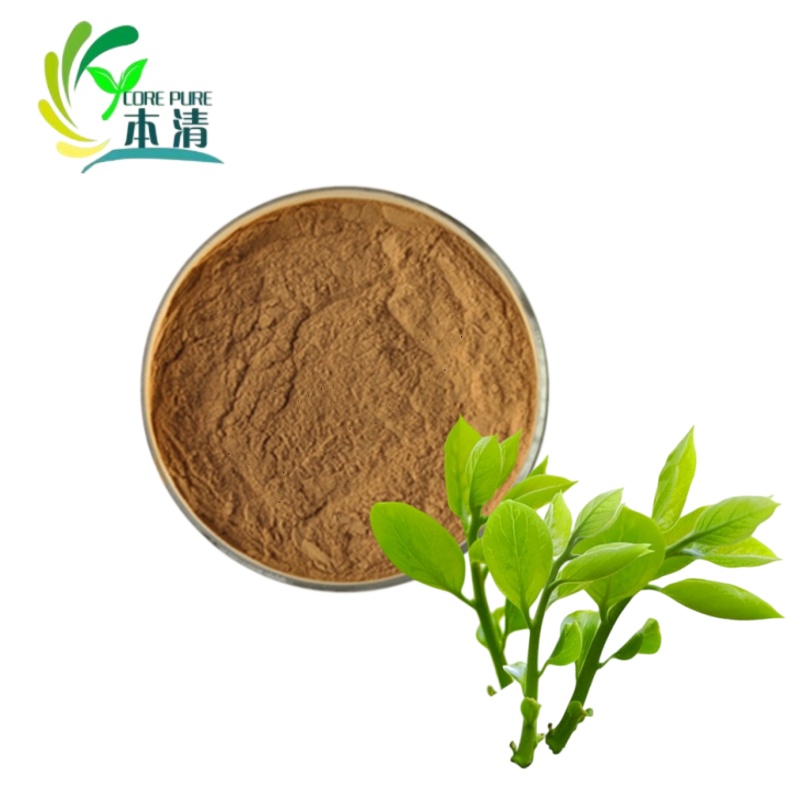 98% Tea Polyphenols Best Price Factory Supply High-Purity Natural Green Tea Extract Powder in Drum Packaging