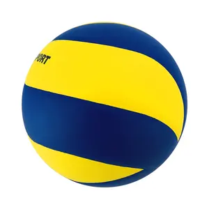 Plein air de volley-ball de plage pour professionnels, taille officielle, mini, accessoire scolaire