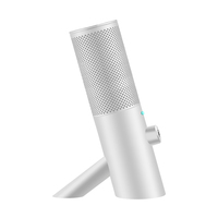 Microphone de jeu filaire à lumière RVB Portable Desktop Studio Podcast Enregistrement Vocal Streaming Microphones d'ordinateur Type C