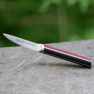 Coltello da Sbucciatura Lacor Elite 8 Cm in Acciaio Inossidabile, Design Moderno con Manico in Resina - Product Image 3