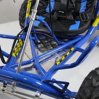 Buggy à quatre roues 2WD tout-terrain 196CC pour adolescents et adultes, kart à essence, kart amusant