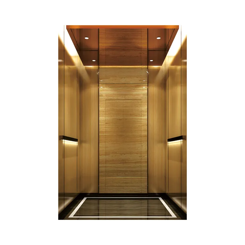 Passenger Hotel Apartments Passenger Lift 800kg Price Passenger Elevator Office Buildings Elevator