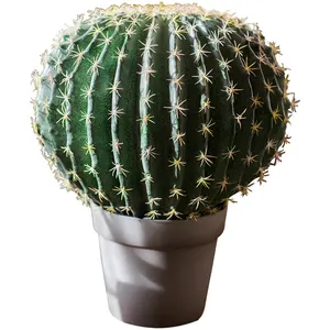 Kunstplanten Cactus Cactusvijg Bonsai Desert Planten Faux Planten Indoor Decoratieve Bloem