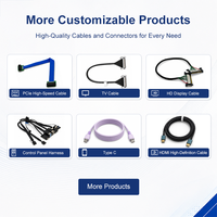 Cable coaxial micro LVDS personalizado de 30 pines y paso de 0,5 mm para pantalla dual de portátil con soporte OEM, ODM y EMS
