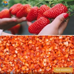 Machine à découper les légumes et les fruits, machine à couper les mangues, les ananas, les fraises en cubes - Product Image 3