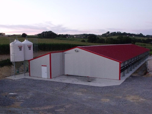 Prefab thép gà coops môi trường kiểm soát thiết kế chống ăn mòn chim cút lồng slaughterhouse giải pháp - Product Image 4