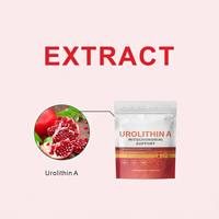 HDK OEM ODM Urolithin A Softgels Soutien Mitochondrial Énergie Cellulaire Grenade Végétalien Halal Sans OGM Sans Gluten