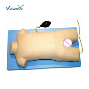 รูปแบบการฝึกอบรมการเจาะเส้นเลือดดำและเส้นเลือดโคนขาในเด็กค้นหาเส้นเลือดดำสำหรับการเจาะเลือด - Product Image 1