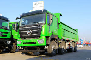 Bon marché Foton Auman <span class=keywords><strong>GTL</strong></span> Basic Model 430hp 8x4 5.8m Camion à benne basculante à vendre - Product Image 6