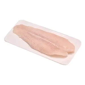 Frozen Skinless Boneless Pangasius Fish Fillet Vietnam Fillet Frozen Pangasius Fillets Price