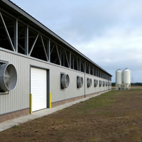 Structure en acier moderne ignifuge et anticorrosion pour abri de bétail avec toit étanche et installation rapide pour l'élevage