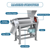 Kleine Roestvrijstalen Filter Juicer Vruchtensap Machine Residu Scheiding Elektrische Juicer Machine Voor Commerciële Industriële