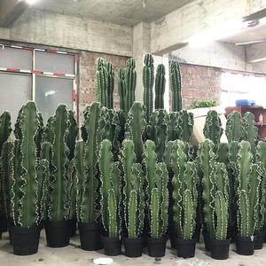 Grand Cactus Artificiel en Pot pour Bureau, Décoration d'Automne, Fleurs et Couronnes Décoratives, Vente en Gros - Product Image 3