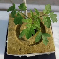 Mineral Wool Grow Cubes Hydroponic Mineral Wool for Plant Propagation Tomato Growing Stone Wool Farm Agricultural Grow Cubes