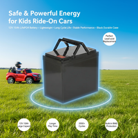 Batterie Lifepo4 OEM 12,8V 12Ah 15Ah 20Ah, pack de batteries Lifepo4 haute performance et durable pour voiture jouet, chariot de golf électrique, batterie externe