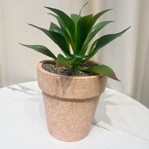 Brick rosso succulento stato Jiayi <span class=keywords><strong>manutenzione</strong></span> ufficio balcone piante verdi in vaso - Product Image 5