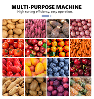 Sorteermachine voor Shepody Blueberry mango's, Cherry Tomaten, Uien, Fruit, Appels, Citrusvruchten, Avocado's en ander fruit.