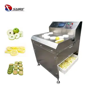 Endüstriyel limon avokado muz elma kesme dilimleme makinesi soğan kıyıcı portakal dilimleme makinesi