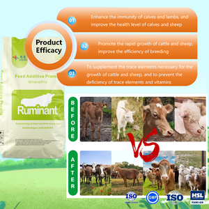 Wiederkäuer Tierfutter zusätze Kälber Premix Lämmer Premix <span class=keywords><strong>Animal</strong></span> Booster Kälber Booster Lämmer Booster Vitamin und Mineral Premix - Product Image 3