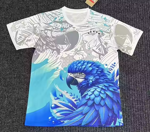 2025 Trikot-Druck 100% Polyester Brasilianisches Nationalmannschaft Fußballtrikot Jesus Spezial Fußballbekleidung Fußballtrikots - Product Image 3