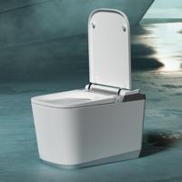 WC intelligent universel avec bidet électrique à double chasse, évacuation en S, OEM/ODM, pour hôtels