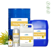 Huile Essentielle d'Ylang Ylang 100% Pure et Fraîche de Qualité Supérieure, Distillée à la Vapeur pour l'Aromathérapie, Hydratante, Nourrissante, Usage Quotidien pour Tous
