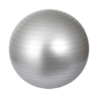 Medizinball-Yoga-Gestell für Schwangere aus PVC-Material, Umweltfreundlich, Anti-Burst-Funktion, Inklusive Geburts- und Erholungsplanungsbuch (Lavendel 65cm)