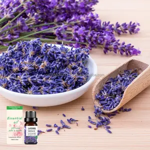 Aceite esencial de lavanda, planta pura, extracto natural, aceite esencial, aceite aromático para difusor, humidificador y cuidado de la piel