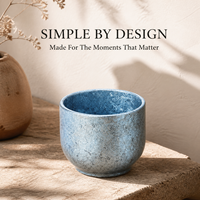 Tasse en titane à double paroi avec finition cristal colorée pour thé, café, bureau et extérieur – Personnalisation de logo en gros pour les entreprises