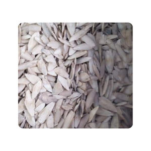 Hueso de Sepia de Primera Calidad para Fortalecer la Caparazón de Reptiles y Fuente Mineral Sostenible para el Cuidado Profesional de Mascotas Exóticas - Product Image 4