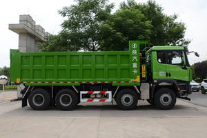 X5000 <span class=keywords><strong>Dumper</strong></span> Cingolato di Marca Affidabile e Conveniente con Ribaltamento Posteriore e Scarico Automatico - Product Image 3