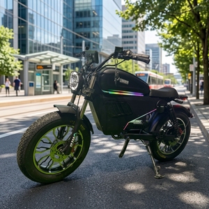 <span class=keywords><strong>Bicicleta</strong></span> Eléctrica OWAYEBIEK HIGHEST 60V50Ah BLACK WARRIOR CITY EBIKE, Fatbike de Largo Alcance para Adultos, Aleación de Aluminio, Disponible en EE. UU./China - Product Image 1