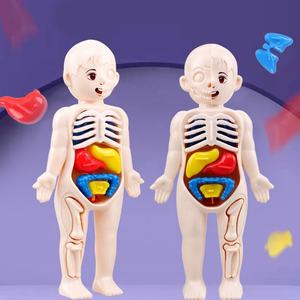 Modèle de structure des organes humains pour l'éducation scientifique des enfants, jouet éducatif en plastique, jeu d'assemblage et d'association pour les enfants de 5 à 13 ans, unisexe - Product Image 3