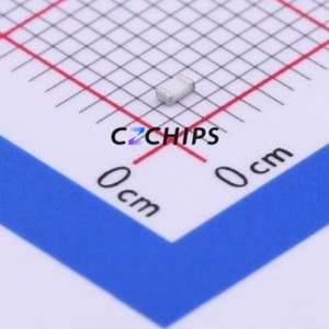 Résistance SMD ERJ3GEYJ301V 0603 (Type : Film épais) (Résistance : 300 Ohm Précision : 5%) - Product Image 2