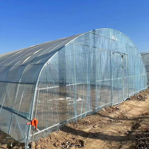 Pellicola Agricola Trasparente Resistente ai Raggi UV 200-250 Micron, Polietilene 6 Mil Impermeabile, Rotolo Economico per Coltivazione - Product Image 2