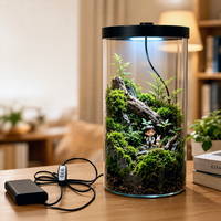 Terrarium en verre borosilicate de haute qualité avec éclairage LED pour culture et ventilation réglable, vase en verre pour micro-paysage