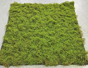 แผ่นมอสเทียมสีดำแบบม้วน <span class=keywords><strong>ราคา</strong></span>โรงงาน กันน้ำ เป็นมิตรกับสิ่งแวด<span class=keywords><strong>ล</strong></span>้อม สำหรับจัดสวน - Product Image 5