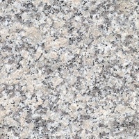 SGZ Moderne G602 Granit Gris-Blanc Poli Écologique Durable Grande Dalle Découpée sur Mesure Revêtement Mural Extérieur Pavage de Cuisine Chine
