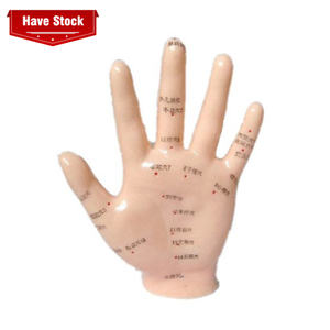 उच्च गुणवत्ता के लिए शिक्षण हाथ एक्यूपंक्चर मॉडल 13cm सीखने के छात्रों - Product Image 1