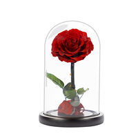 Vente en gros de fleurs décoratives de qualité supérieure pour Noël, mariage, fête des mères, roses rouges préservées sous cloche en verre pour la Saint-Valentin