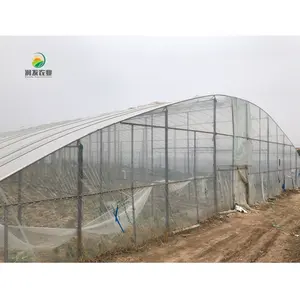 Fácilmente ensamblados de estructura de acero de túnel invernaderos solares para la plantación de semillas