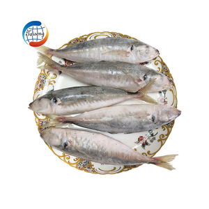 China Exportados Nova Temporada Preço Barato Congelado <span class=keywords><strong>Round</strong></span> Scad Peixe Inteiro Cavala De Alta Qualidade Scad <span class=keywords><strong>Fish</strong></span> para Venda - Product Image 6
