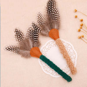 Juguete Ecológico Interactivo para Gatos, Palo para Masticar con Pluma y Fruta de Gall, Snacks para Limpiar el Paladar de Gatitos y Juguete para Gatos con Campana - Product Image 4