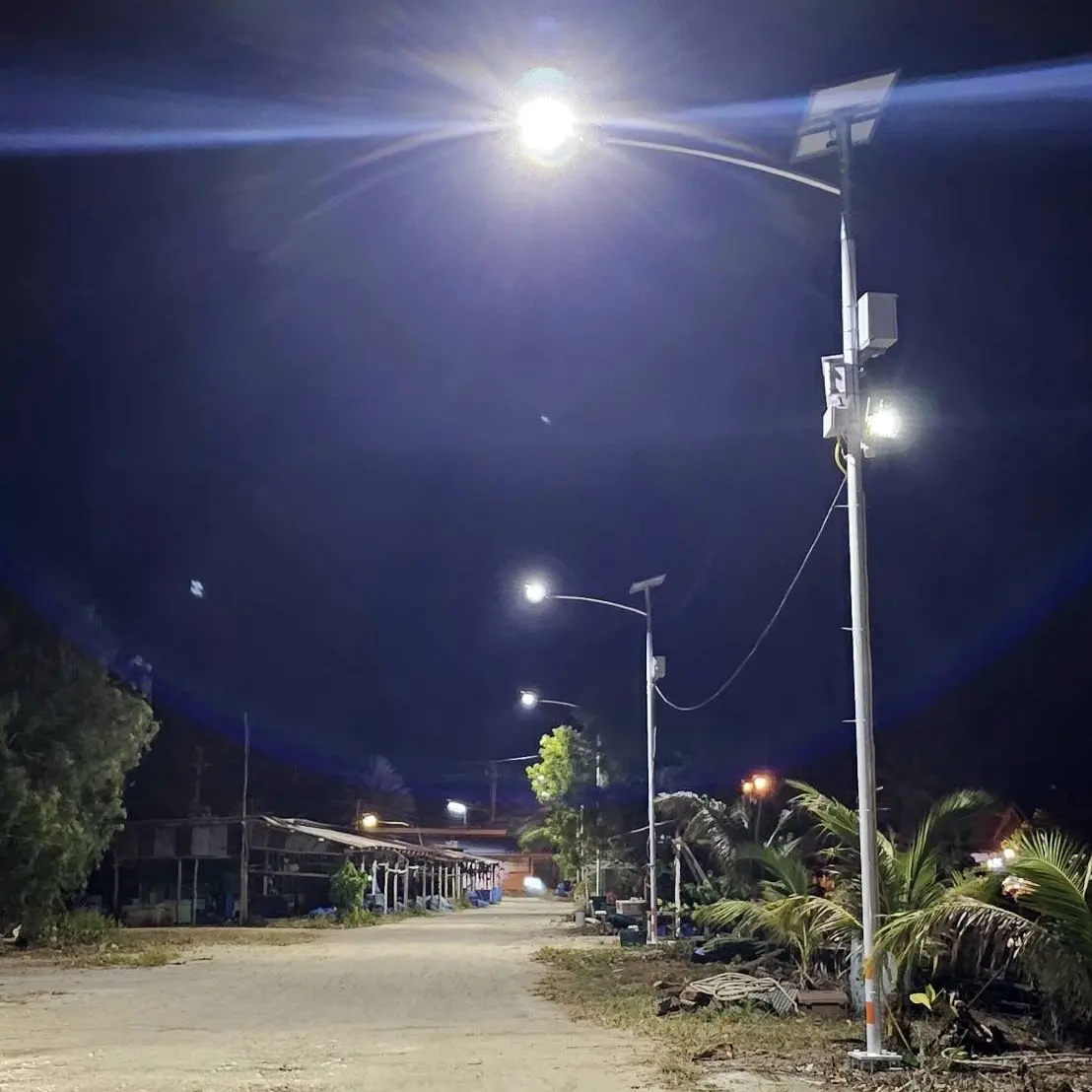 Venta caliente al aire libre Split Solar Street Light Led Lighting 40W-100W Lúmenes de alta potencia Ip66 Clasificado a prueba de agua