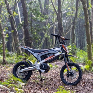 Moto électrique tout-terrain EU Warehouse, batterie haute énergie amovible 48V, suspension intégrale, VTT électrique pour enfants - Product Image 1