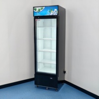 Réfrigérateur vertical commercial à porte vitrée, refroidissement direct, 300L, économie d'énergie