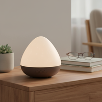 Diffuseur d'huiles essentielles de haute qualité, humidificateur d'air ultrasonique, diffuseur d'arômes pour la chambre, l'hôtel, le bureau, le spa