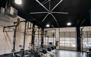 Ventilateur de plafond HVLS Bonawind 24FT pour l'élevage, haute efficacité, faible consommation d'énergie, ventilateur de refroidissement pour ferme et ranch - Product Image 5