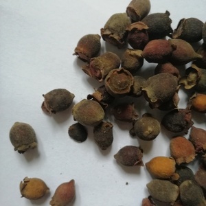 Tao jin niang crudo selvatico biologico secchi frutti interi di lanugine rosa mirto <span class=keywords><strong>frutta</strong></span> per erbe - Product Image 4